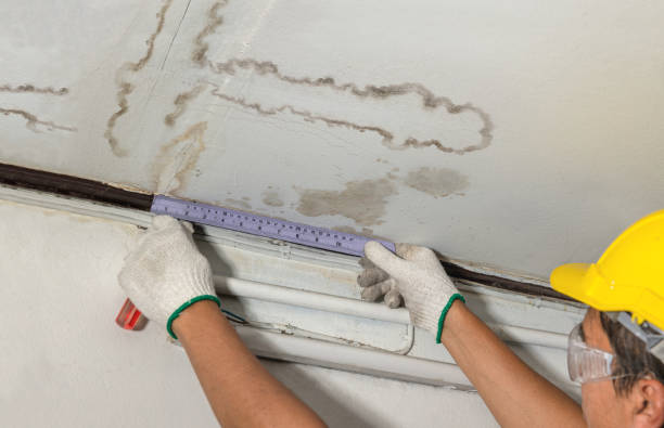 Reliable Water Damage contractor in Lexington, VA by Water Damage Irwin